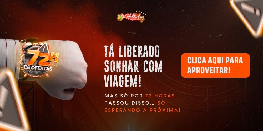72HOFERTAS HOLLIDAY - BANNER SITE