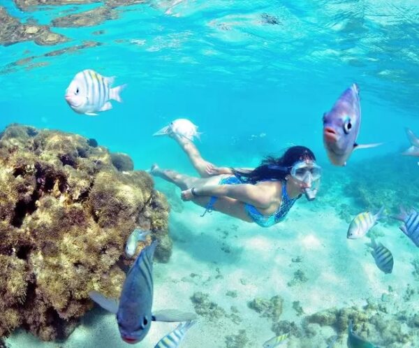 Pacote de Férias completo para Maragogi + Porto de Galinhas com a Holliday para 2 pessoas + Transporte + Hospedagem + Café da manhã, por apenas R$ 949,90! - Imagem 2