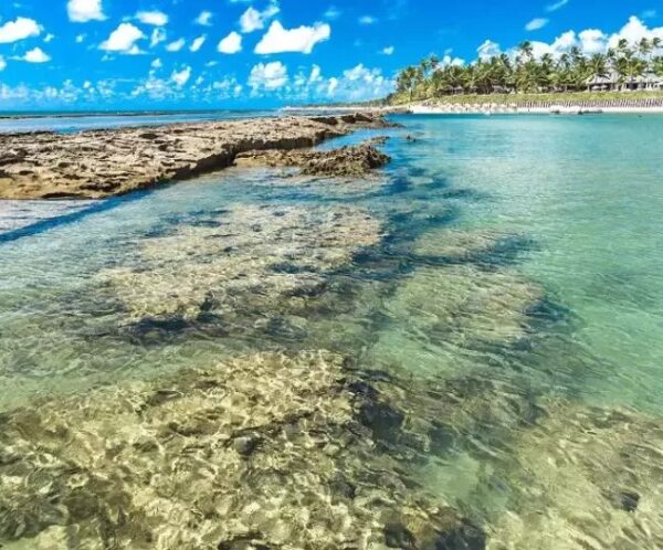 Pacote de Férias completo para Maragogi + Porto de Galinhas com a Holliday para 2 pessoas + Transporte + Hospedagem + Café da manhã, por apenas R$ 949,90! - Imagem 4