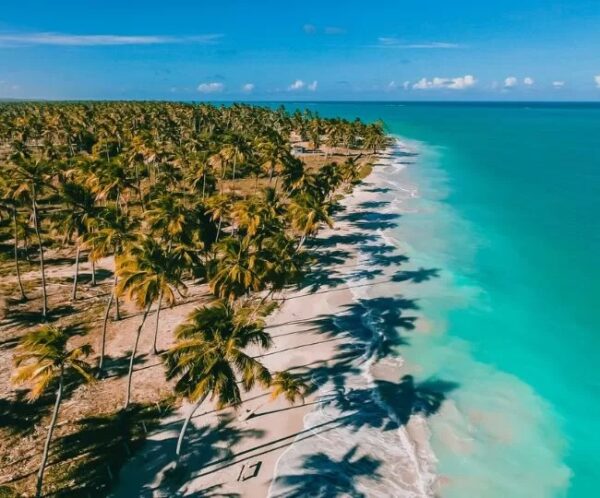 Pacote de Férias completo para Maragogi + Porto de Galinhas com a Holliday para 2 pessoas + Transporte + Hospedagem + Café da manhã, por apenas R$ 949,90! - Imagem 5