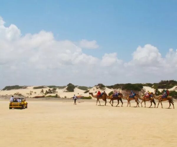 Pacote Completo de Férias para Natal + Maracajaú + Lagoa de Arituba com Transporte (ida e volta) + Hospedagem para 2 pessoas, por apenas R$ 829,90 ! - Imagem 3