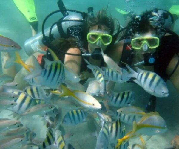 Pacote Completo de Férias para Natal + Maracajaú + Lagoa de Arituba com Transporte (ida e volta) + Hospedagem para 2 pessoas, por apenas R$ 829,90 ! - Imagem 7