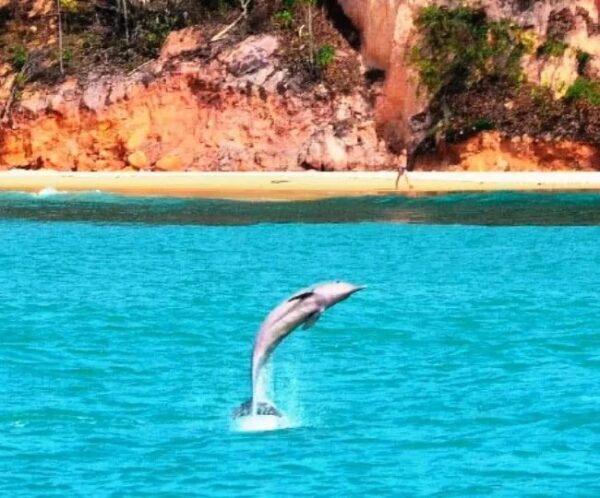 Pacote Completo de férias  para Natal + Pipa com a Holliday para 2 pessoas + Transporte + Hospedagem + Passeios, por apenas R$  799,90 ! - Imagem 6