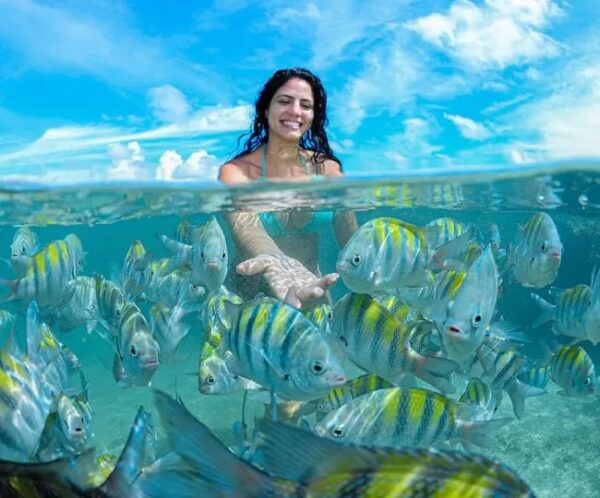 PROMOÇÃO DIA DO CLIENTE ! Pacote Completo de Viagem para Porto de Galinhas + Recife e Olinda com a Holliday para 2 pessoas + Transporte + Hospedagem + Café da manhã + Passeios, por apenas R$ 549,90 ! - Imagem 5