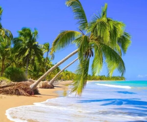 PROMOÇÃO DIA DO CLIENTE ! Pacote Completo de Viagem para São Miguel dos Milagres + Maragogi com a Holliday para 2 pessoas + Transporte + Hospedagem + Café da manhã, por apenas R$ 699,90 ! - Imagem 2
