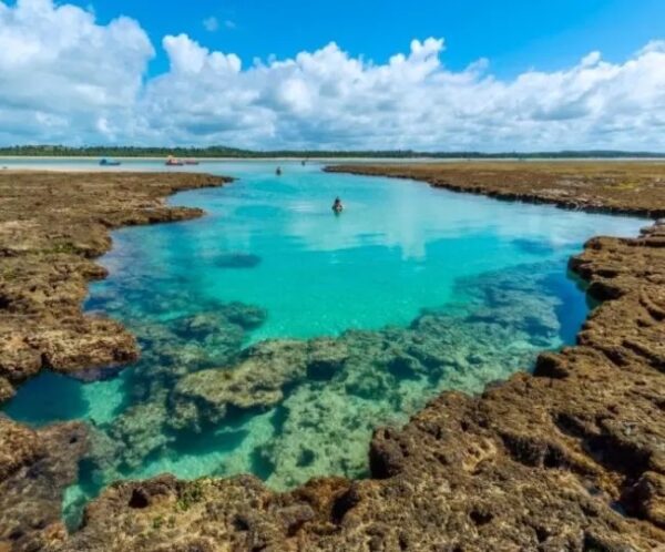 PROMOÇÃO DIA DO CLIENTE ! Pacote Completo de Viagem para São Miguel dos Milagres + Maragogi com a Holliday para 2 pessoas + Transporte + Hospedagem + Café da manhã, por apenas R$ 699,90 ! - Imagem 8